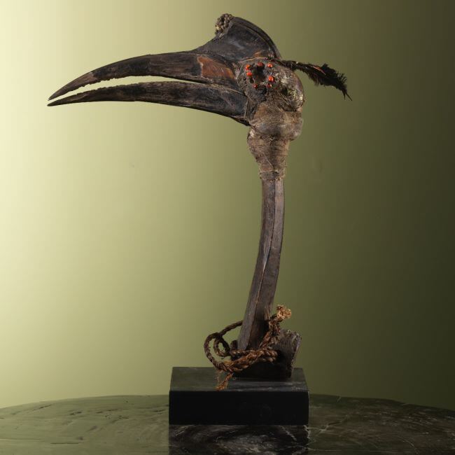 3189 Hoornvogel Tribal