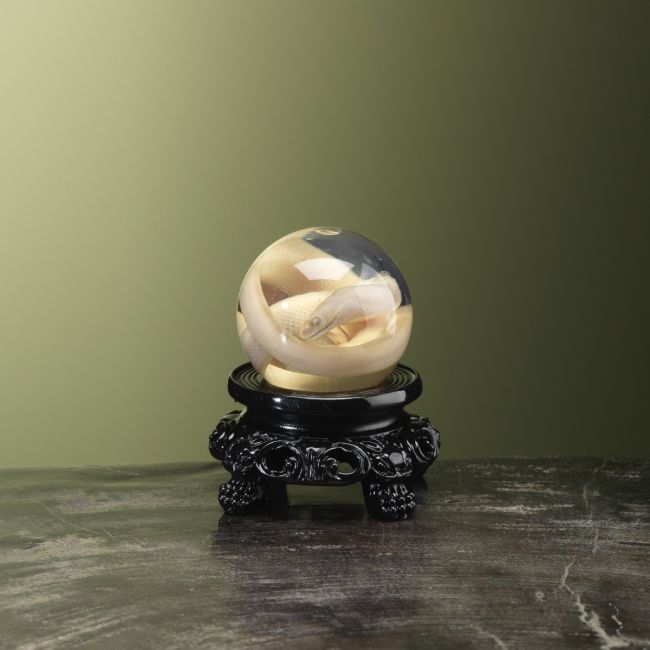 4466 Slang op Sterk Water