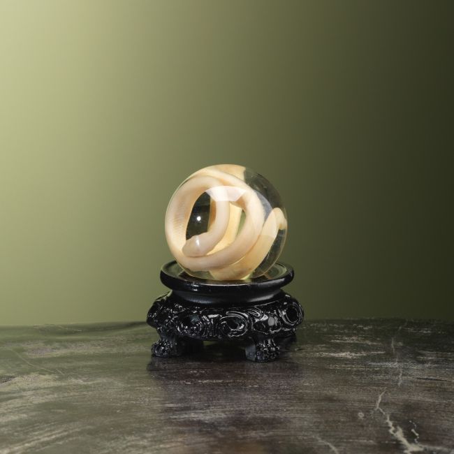 4467 Slang op Sterk Water