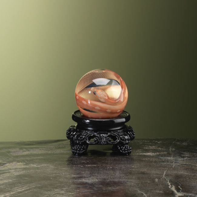 4468 Slang op Sterk Water