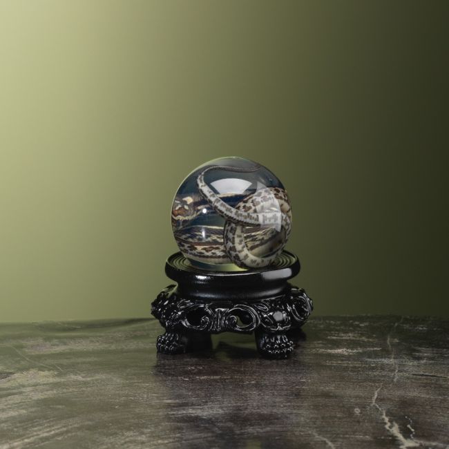 4469 Slang op Sterk Water