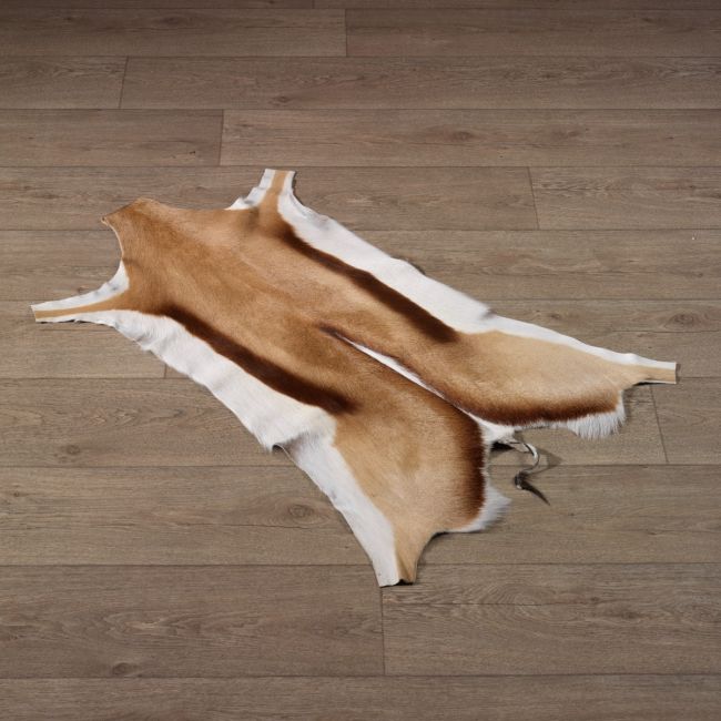 0000 Springbok Huid