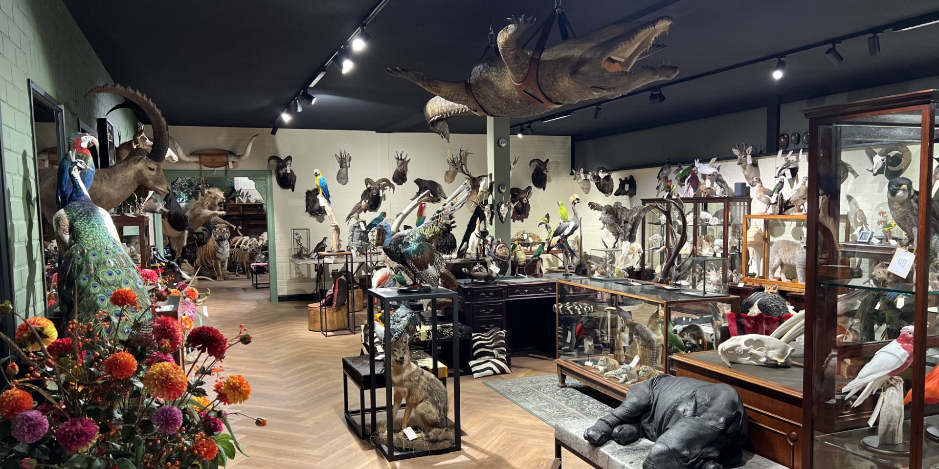 Showroom van By Max met unieke taxidermie